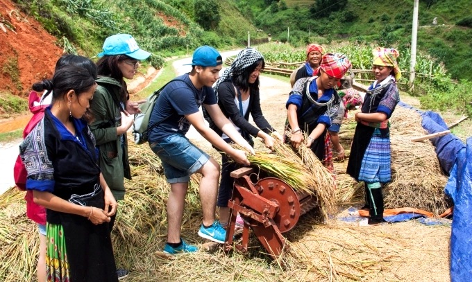 So sánh homestay với resort về khách hàng mục tiêu